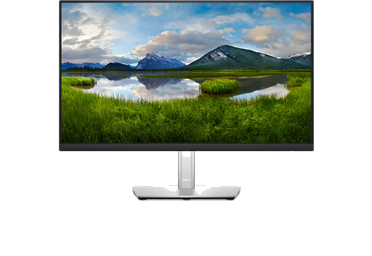 Dell P2422H 24 吋顯示器